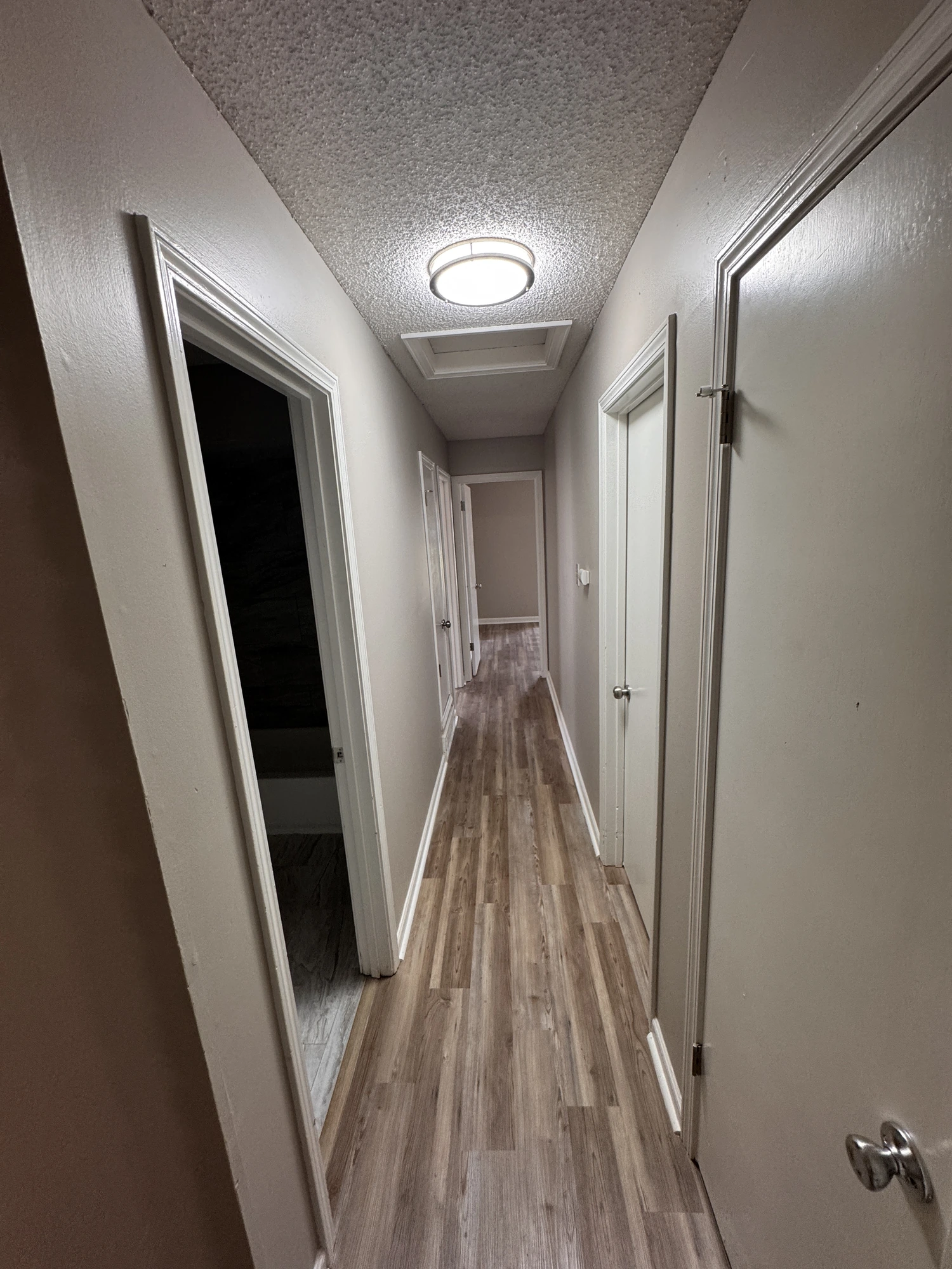 Whole-home Refresh - Project 01, Hallway after renovation